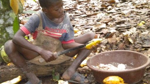 The suits state that such children are trafficked from countries neighboring the Ivory Coast, sold to plantation owners by brokers and smugglers, and forced to work under conditions of physical violence without pay. According to the World Cocoa Foundation, 47 percent of the total U.S. imports of cocoa beans come from the Ivory Coast.
