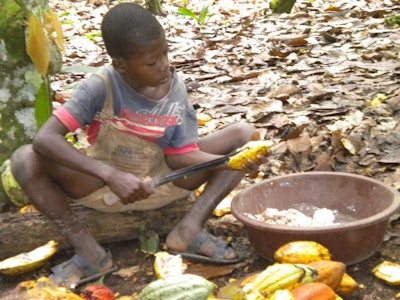 The suits state that such children are trafficked from countries neighboring the Ivory Coast, sold to plantation owners by brokers and smugglers, and forced to work under conditions of physical violence without pay. According to the World Cocoa Foundation, 47 percent of the total U.S. imports of cocoa beans come from the Ivory Coast.