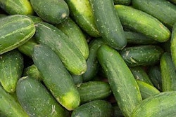 cucumbers 55ef29718a902