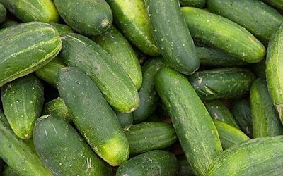 cucumbers 55ef29718a902