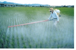 This year, 36 percent of Americans cited 'chemicals in food,' such as pesticide residues, as the most important food safety issue for them and their family, edging out 'foodborne illness from bacteria' (34 percent).