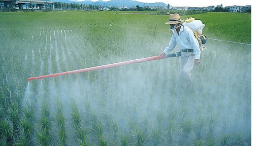 This year, 36 percent of Americans cited 'chemicals in food,' such as pesticide residues, as the most important food safety issue for them and their family, edging out 'foodborne illness from bacteria' (34 percent).