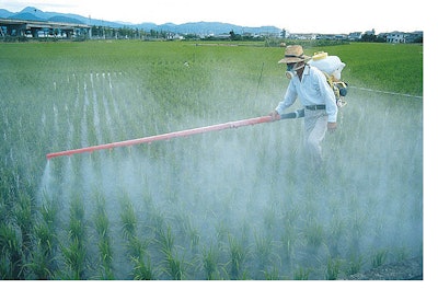 This year, 36 percent of Americans cited 'chemicals in food,' such as pesticide residues, as the most important food safety issue for them and their family, edging out 'foodborne illness from bacteria' (34 percent).