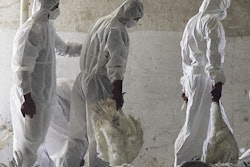 The highly infectious H5N2 strain led to retail prices for eggs more than doubling and sent turkey prices to record highs earlier this year. It also has cost taxpayers nearly $1 billion in cleanup, preparation costs and indemnity payouts to farmers—much of it from emergency federal funds tapped by the USDA’s animal-and-plant health service.