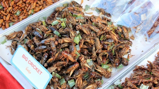 Earlier this year, Belgium’s Federal Agency for Safety of the Food Chain stated that insects for human consumption “appear to offer great potential” as an alternative protein source. The agency’s scientific committee went so far as to acknowledge that breeding and marketing insects is already being tolerated in some parts of the European Union without any formal regulations.