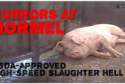 One of Hormel’s pork processors said Friday that it has taken additional corrective measures in response to Hormel's concerns over actions depicted on an undercover video shot by an animal welfare group at an Austin, Minn., slaughterhouse.