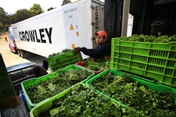Crowley employees in Guatemala prepare fresh produce for shipment to the United States.
