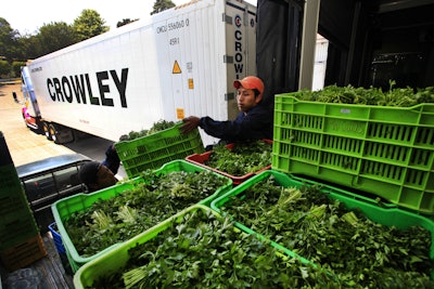 Crowley employees in Guatemala prepare fresh produce for shipment to the United States.