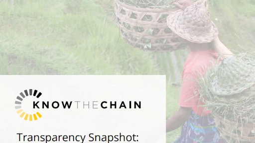 The report, “Know the Chain, Transparency Snapshot: A Pilot Benchmark Report,” supported by a United Kingdom-based organization called the Business and Human Rights Centre, includes seven global food companies: Nestle SA, Unilever plc, Mondelez International Inc., Danone, Associated British Foods plc, General Mills Inc. and Hershey Co.