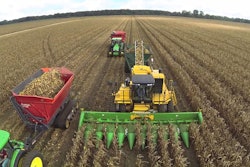 cornharvest 5696807bec19e