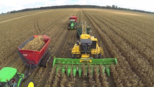 cornharvest 5696807bec19e