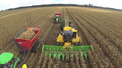 cornharvest 5696807bec19e