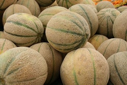 Freshpoint Vancouver Ltd. is recalling Del Monte and Sysco Imperial Fresh brand cantaloupes because of possible Salmonella contamination.