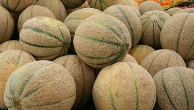 Freshpoint Vancouver Ltd. is recalling Del Monte and Sysco Imperial Fresh brand cantaloupes because of possible Salmonella contamination.