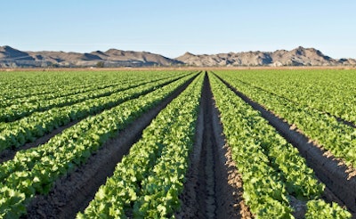 Arizone lettuce field 56fa890c738d3