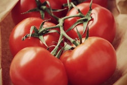 The group claims that Wendy’s has decided to stop buying tomatoes from Florida growers after the Fair Food Program was implemented there, and now buys tomatoes from Mexico.