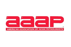 Antibiotic use in poultry should be minimized through carefully planned and well-executed preventive practices, according to a new position statement released by the American Association of Avian Pathologists.