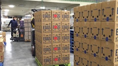 Axios pallet in use 2 5718ee002b67a