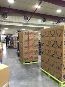 Pallet Solutions Concerns Expand Beyond Sanitation And