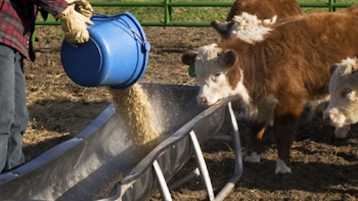 Eighty percent of antibiotics produced in the U.S. are given to livestock, the coalition said in a statement, adding that failure to confront their 'irresponsible' use threatens both health and investor returns.