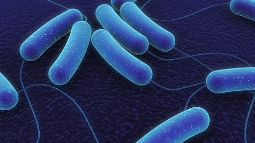 coli bacteria 5718e2eea7a0e