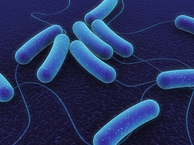 coli bacteria 5718e2eea7a0e