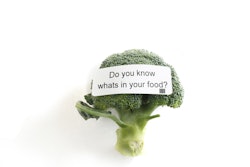 iStock 000078881797 Full 5714ec5933c5f