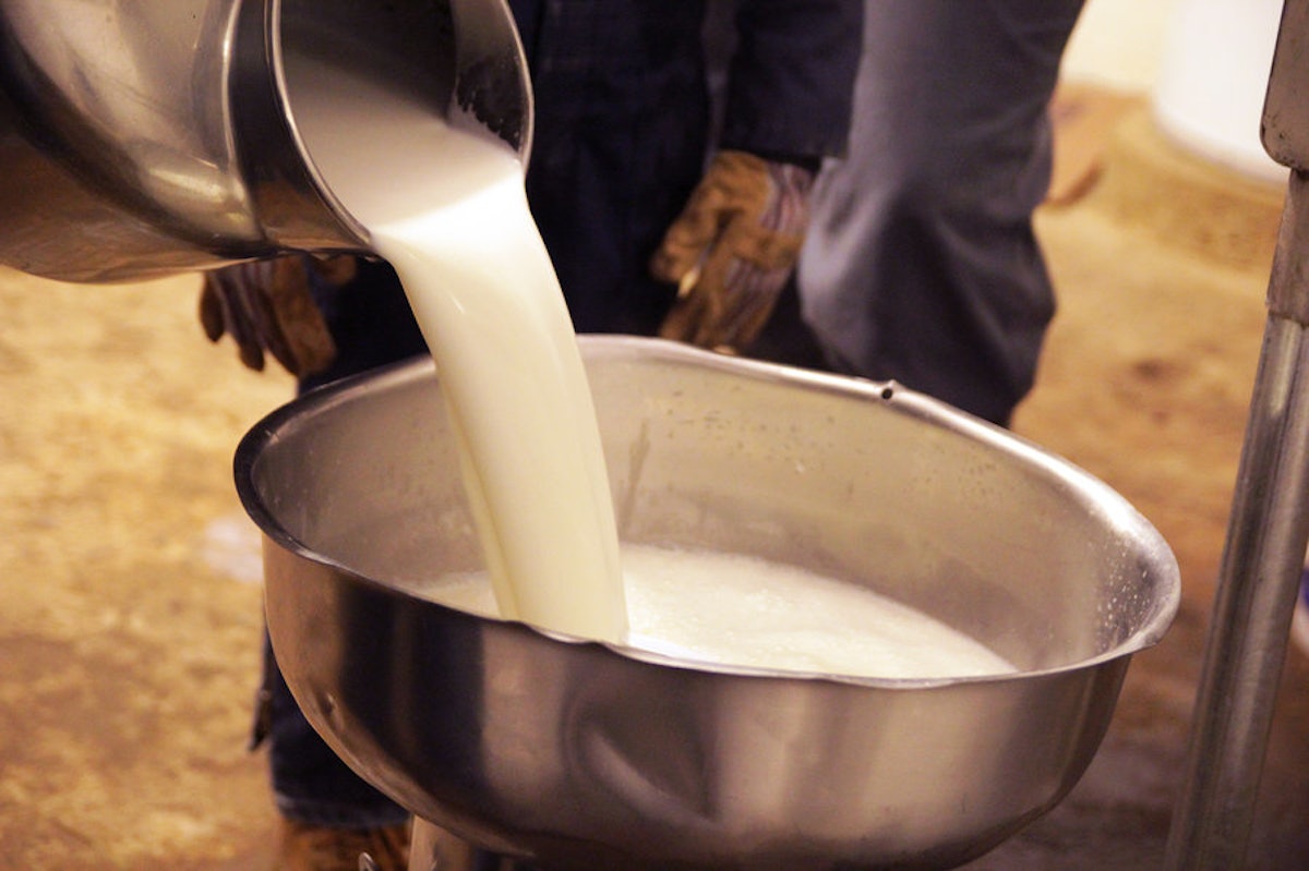 Dairy Farmers Ask FDA to Enforce Milk Definition Food Logistics