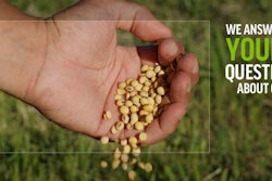 GMO Soybeans 5728ad6f50df2
