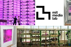 The Food + Future coLab is a multi-year collaboration between Target, IDEO and MIT’s Media Lab.