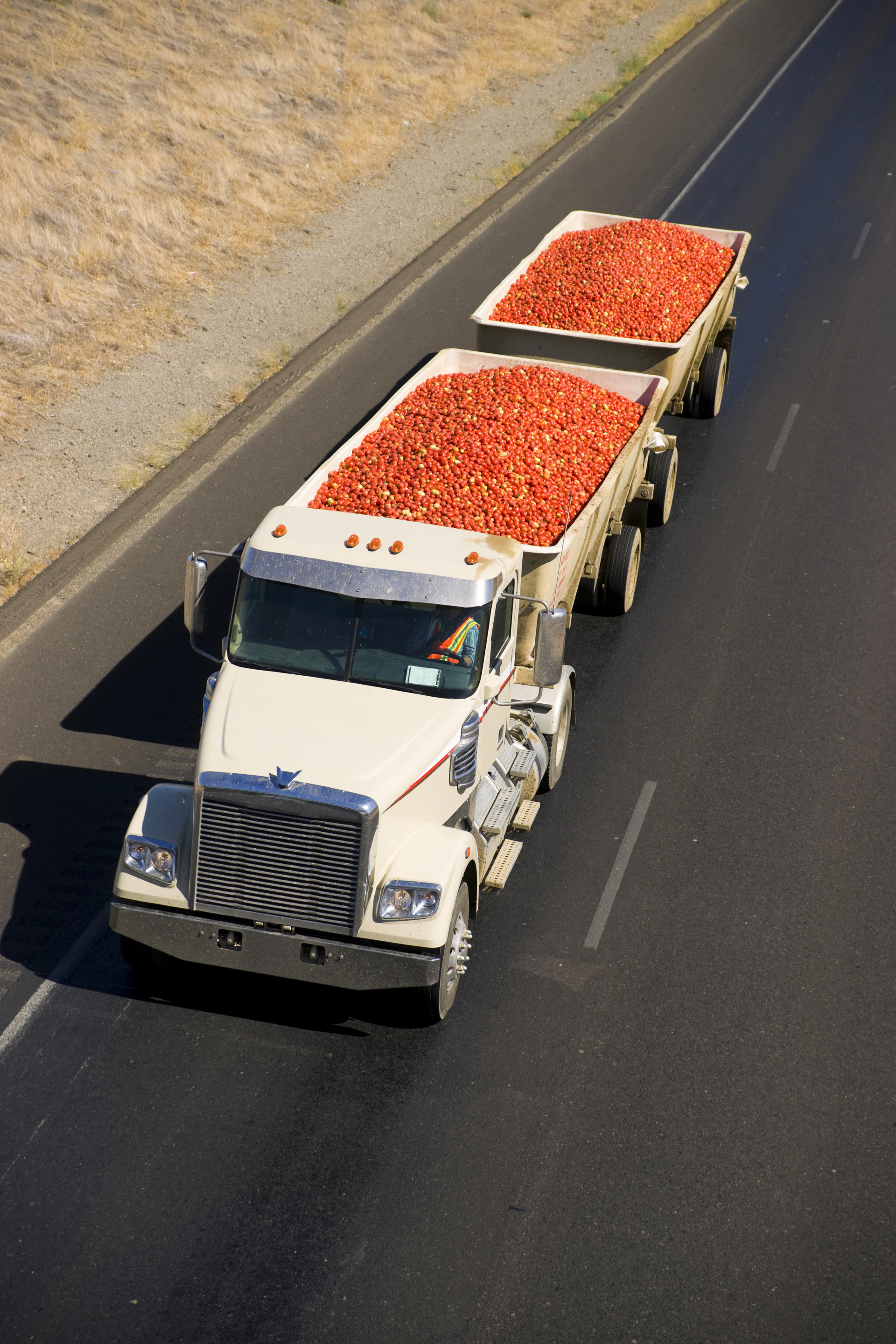 Produce Industry Updates Measures To Improve Transportation Practices |  Food Logistics
