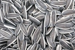 Dozens of other products including protein bars, nuts, trail mix and sunflower seeds were also recalled because of potential Listeria monocytogenes contamination, according to a recall notice from TreeHouse Foods Inc.