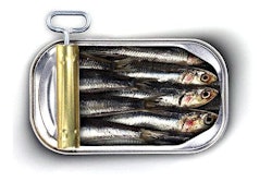Greenland Trading Corp. of Paterson, N.J., shipped the sardine products to retailers in California, Florida, Massachusetts, New Jersey, New York, Pennsylvania and Tennessee.