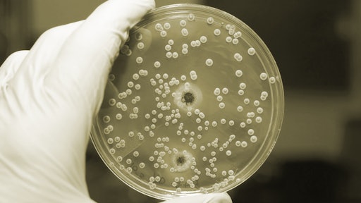 Salmonella testing 57b47acdbc07a