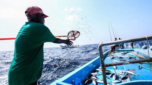 tuna in indonesia 579f60036af78