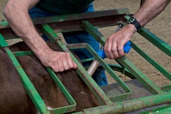 The results from Chain Reaction II come one day before a high-profile meeting of the United Nations General Assembly on antimicrobial resistance, a major global health crisis caused by the misuse of antibiotics by the medical community and livestock industry.