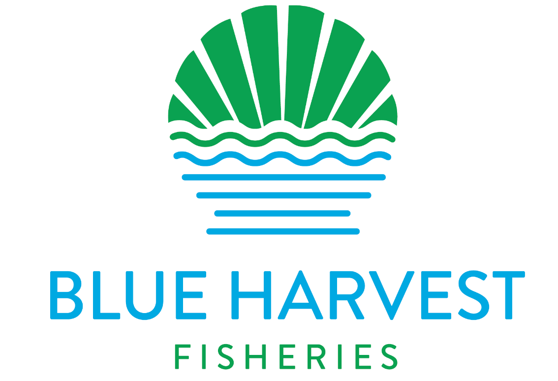 blueharvest free online