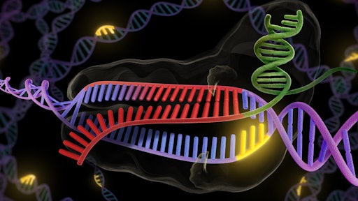 crispr 57e991f417a17