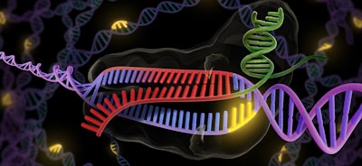 crispr 57e991f417a17
