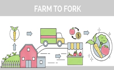 illustration farm to fork 587ced0c27efe