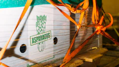 Asparagus air cargo 589dc9fbe7d21