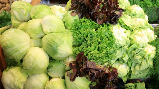 Lettuce mix 589a065042db0