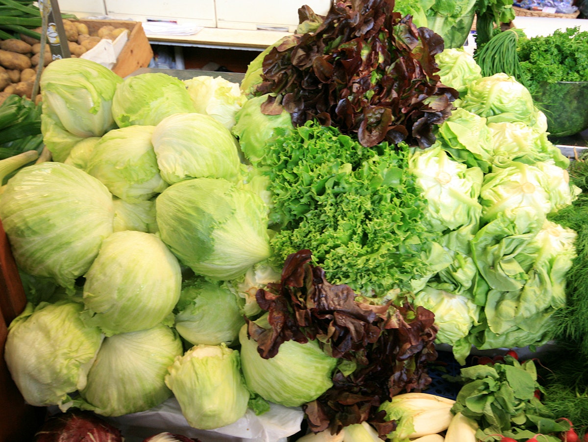 Tip of the Iceberg? Lettuce Black Market Emerges amid Salad Shortage