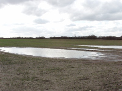 Standing water in wheat field geograph org uk 352763 58c6a367ab527