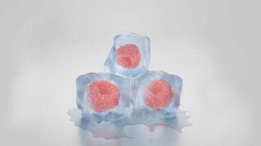 fruit ice cubes cold chain 58de92f33ec4e