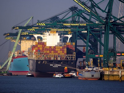 MSC Luciana IMO 9398383 Evelyn Maersk IMO 9321512 Tripoli IMO 6105023 in Deurganckdok Port of Antwerp 595658f71ca06