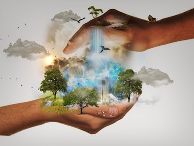 nature conservation 480985 960 720 593188adeac00
