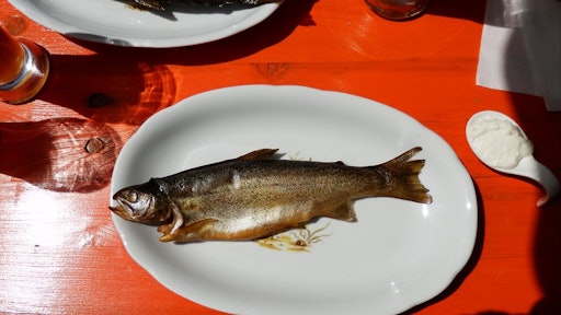 trout fish on plate 371264 960 720 595faaf308acd