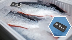 Cold Chain Salmon Roambee 5a12e1be54d48