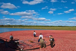 cranberry field 5a008583d64d3